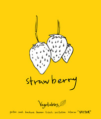 농산물 일러스트 / 손으로 그린 과일과 채소 그림