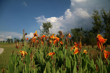  Dongting lake river scenery