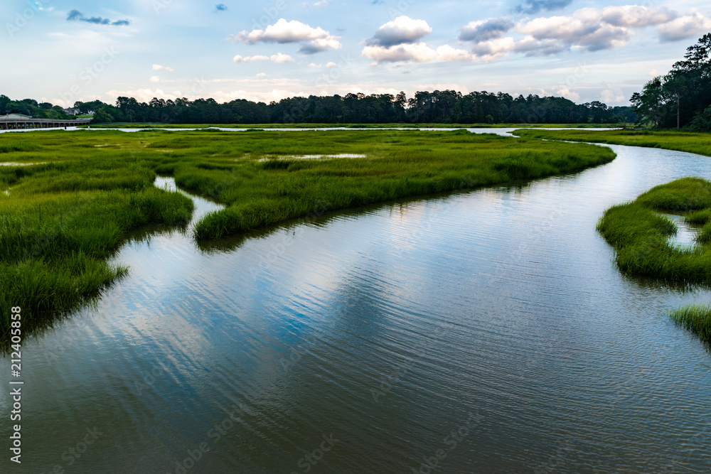 Wall mural wetlands river runs through reeds and into a coastal river underneath a dark and brooding sky