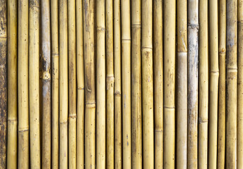 Fototapeta premium bamboo fence