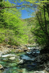 Obraz premium 新緑の巌立峡