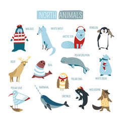 North or South polar animals vector cartoon design © Sonulkaster