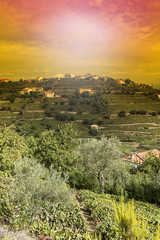 Obraz premium River Douro region in Portugal