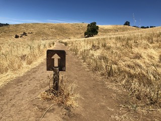 Take this way, please!