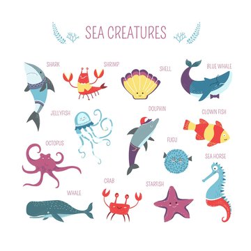 Sea fish and animals creatures vector cartoon design
