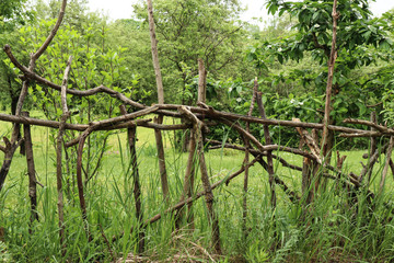 Old homemade wooden fence
