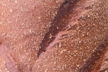 Fototapeta premium Bread texture