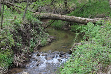 The beauty of nature preserved in our state parks