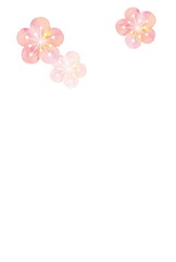 Fototapeta premium 和柄、梅