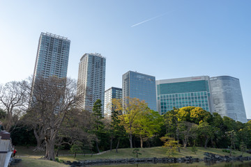 Obraz premium 浜離宮恩賜庭園と汐留のビル群の風景