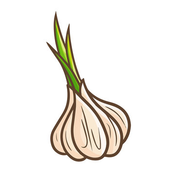 Cute and funny onion - vector