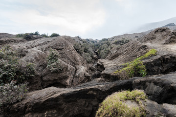 ground fracturing the sand sea of Mount Bromo