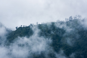 partly hidden and partly visible mountain and trees in cloud