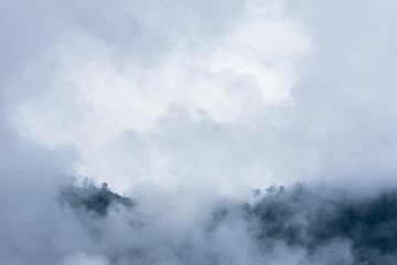 partly hidden and partly visible mountain and trees in cloud