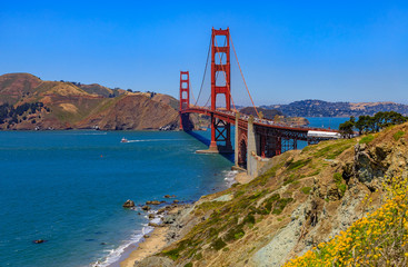 Golden Gate bridge in San Francisco on a clear day with blooming flowers in the foreground 