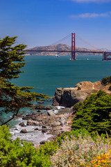 Golden Gate bridge in San Francisco on a clear day with blooming flowers in the foreground 