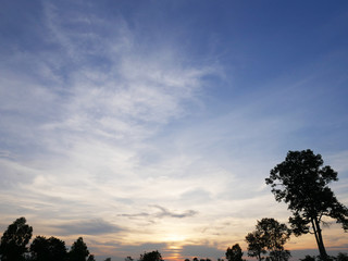 Beautiful Sunset, sunlight and tree field landscape in the evening.
