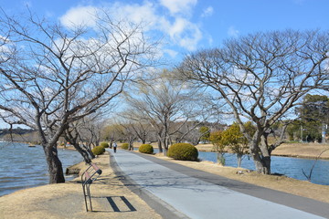 茨城県水戸の千波湖