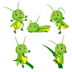 set collection grasshopper cartoon