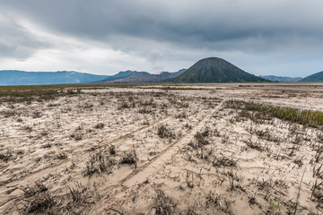 path through grassland under cloudy sky with mountain as background