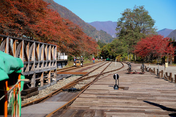 レールサイクリング