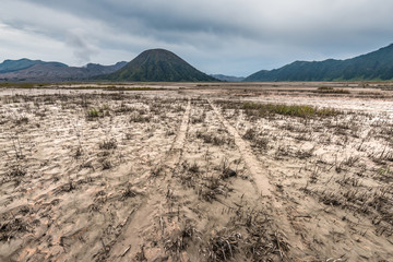 path through grassland under cloudy sky with mountain as background