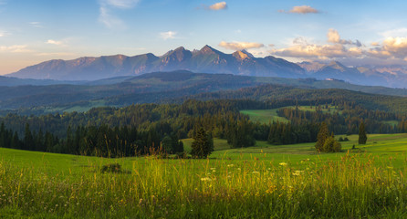 mountain meadow at the foot of the mountains- spring panorama of the Tatra Mountains, Poland