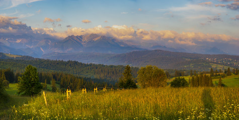 mountain meadow at the foot of the mountains- spring panorama of the Tatra Mountains, Poland