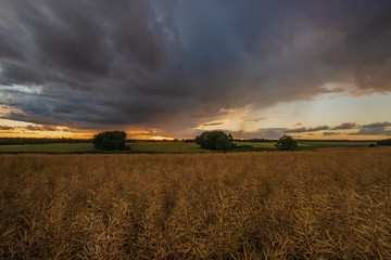 beautiful, at the same time dramatic storm clouds over the field at sunrise