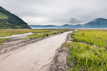 path through grassland under cloudy sky with mountain as background