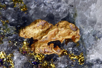 Big nugget of gold and quartz from Lapland
