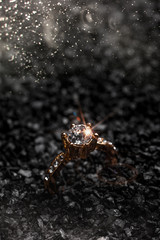 Luxury gold plated ring