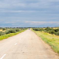 Obraz premium Yellow grass in the steppe and blue sky