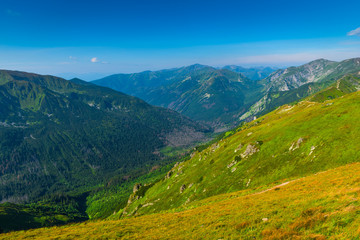 Fototapeta na wymiar green mountains high Tatras in Poland picturesque view