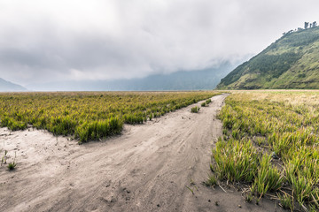 Fototapeta na wymiar muddy road through grassland with mountain as background