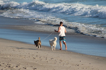 Dog Walker Beach