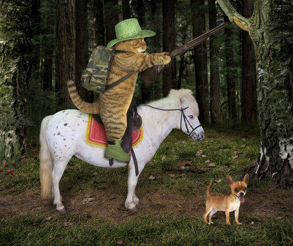 The cat cowboy with a rifle rides a horse in the forest. His dog is next to him.