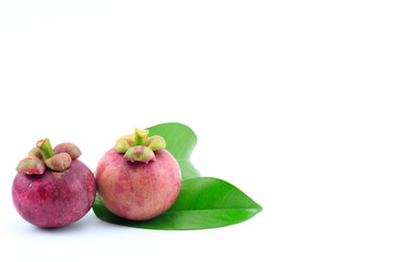 Mangosteen isolated on white background
