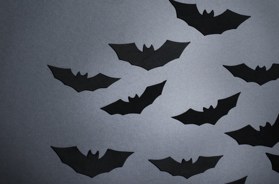 Black Bats on Dark Background, Halloween Symbol