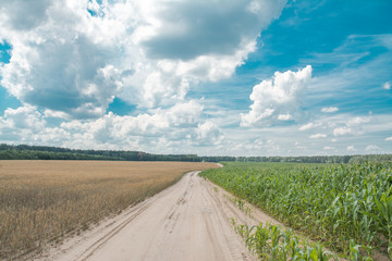 country road landscape