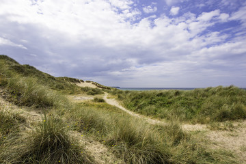 Scenic landscape of Pembrokeshire coast, Uk