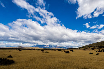 Chile