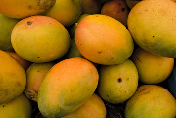 Papaya. Its origin is in the tropics of the Americas, perhaps from southern Mexico and neighboring Central America.