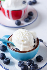 Vanilla ice cream with fresh blueberries