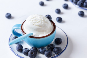 Vanilla ice cream with fresh blueberries