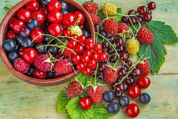 Berries garden mix