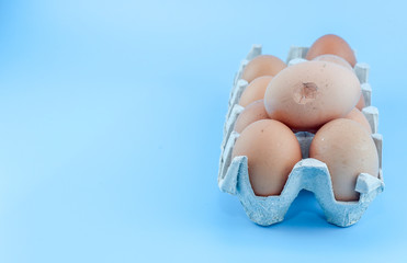 Broken Eggs in paper tray isolated on a blue background.