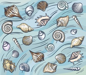 sea shellfish and seashells. vector illustration