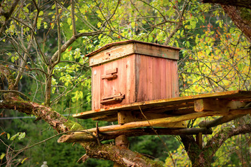 Beehive on the tree for protection from animals. Traditional ecological and ethnic recreation