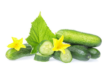 Organic healthy food. Fresh green cucumber natural vegetables with leaf and flowers isolated on white background. Close up image